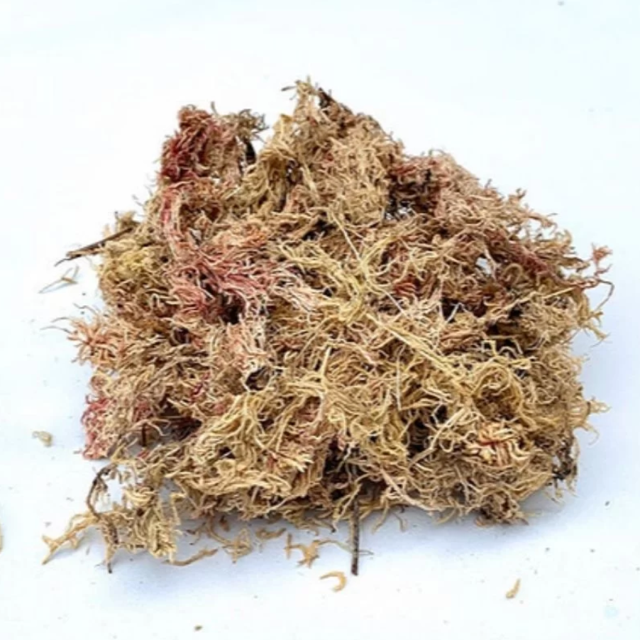 Sustrato Turba Sphagnum Premium